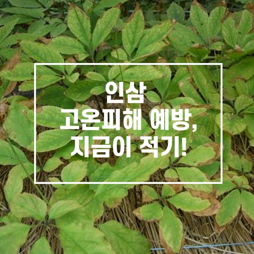 7f1da529737f29bafe32b338770fc490_1751014142_35.JPG